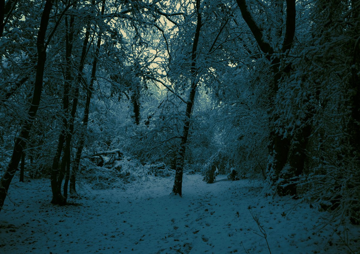 zosphotos's tweet photo. my little blue world https://t.co/rfuZJ0UEc3