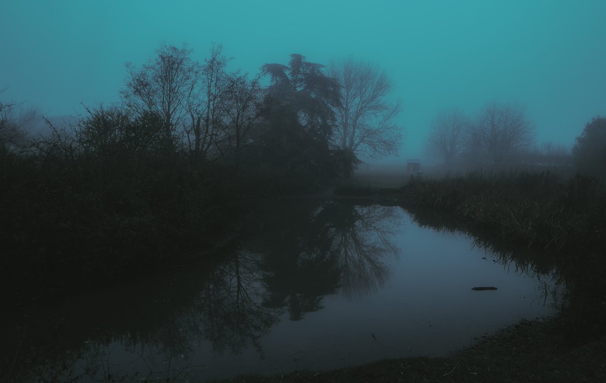 zosphotos's tweet photo. my little blue world https://t.co/rfuZJ0UEc3