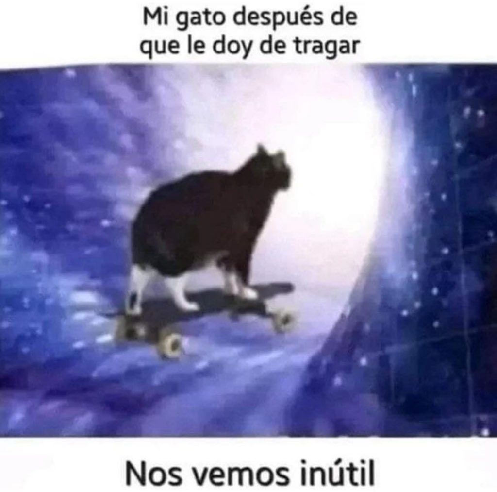 garlotic's tweet photo. https://t.co/1G2bjW09Ba