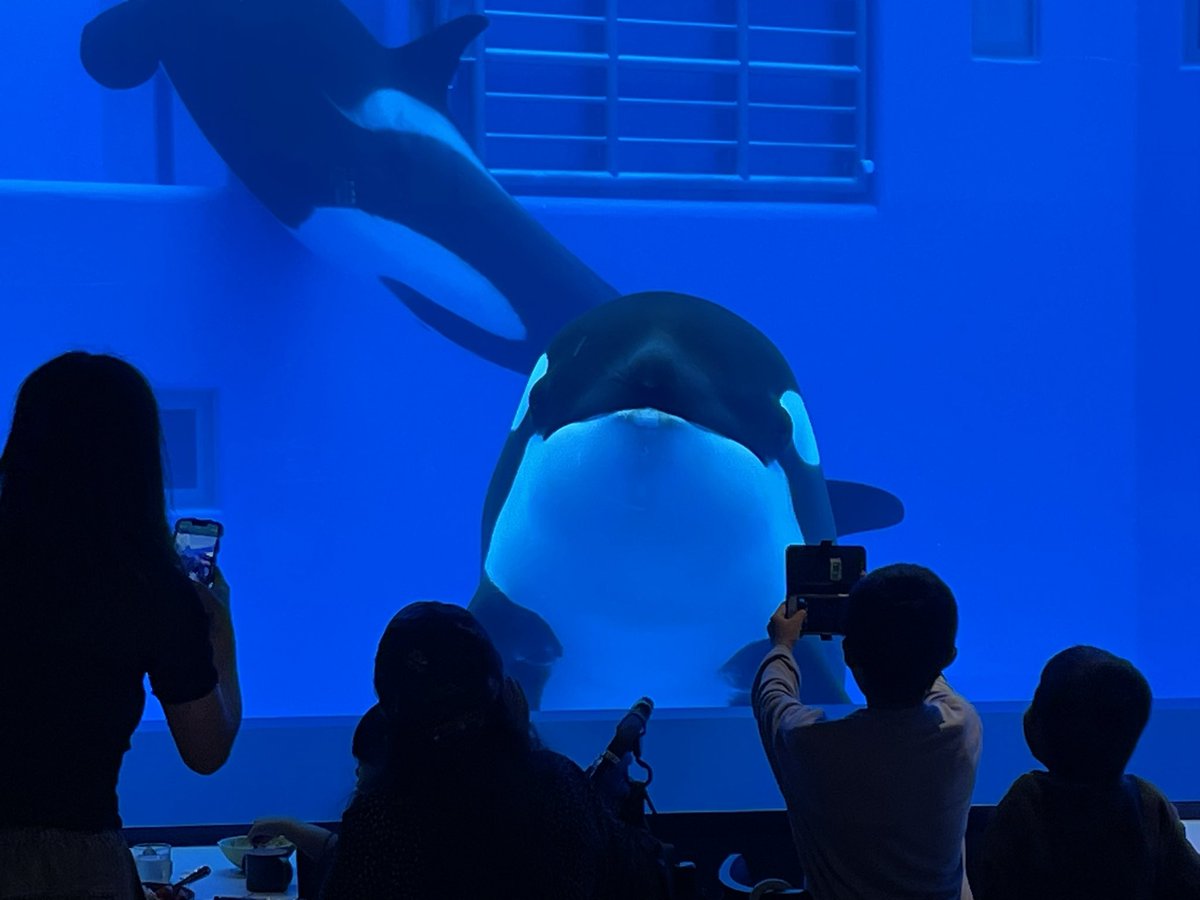 神戸の街角 tweet media