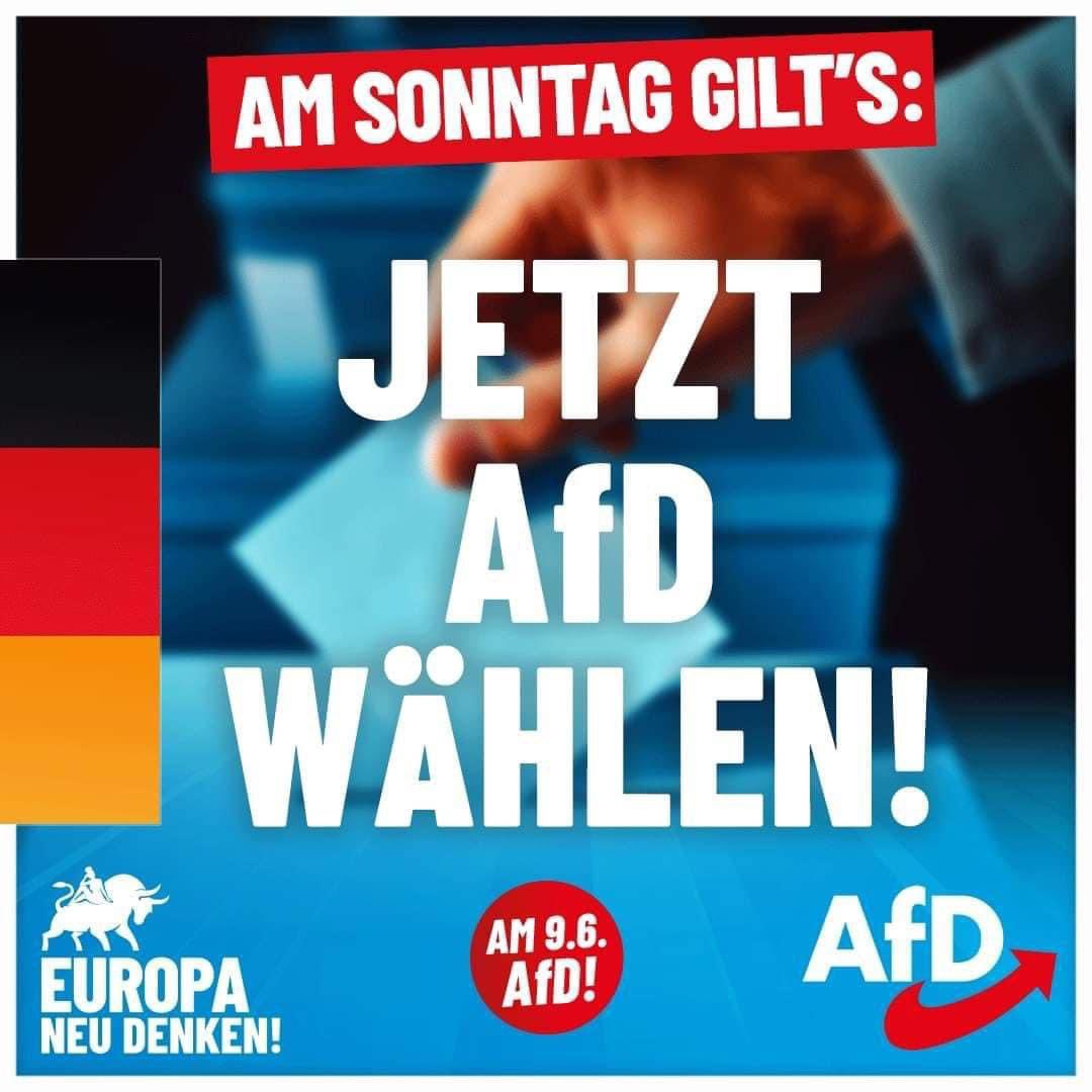 afd_kreis_lippe's tweet photo. #Lippe wählt heute #blau! #Wahl
#Detmold #Lemgo #BadSalzuflen #Lage #Augustdorf #Schieder #Blomberg #Dörentrup #Lügde #Oerlinghausen #Kalletal #Extertal #Leopoldshöhe https://t.co/Sh8H3b6M4A