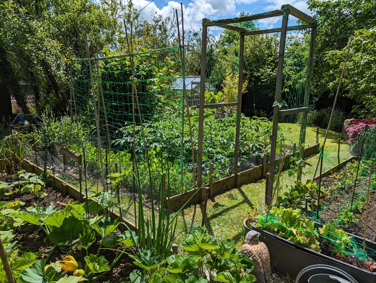 Ex Polytunnelhermit 🌿 tweet media