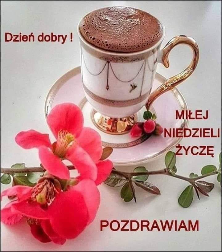 Marsonikkk's tweet photo. Pozdrawiam https://t.co/jff3F6bLUx