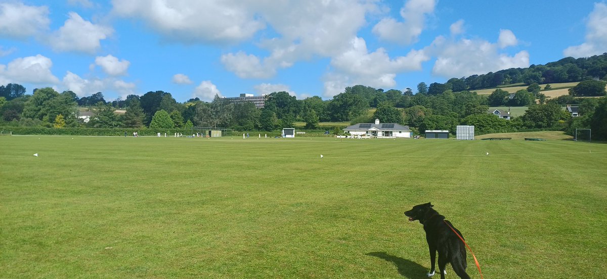 gdebeer79's tweet photo. View for today. Supporting my son at Barnstaple https://t.co/s1XgIGFogP