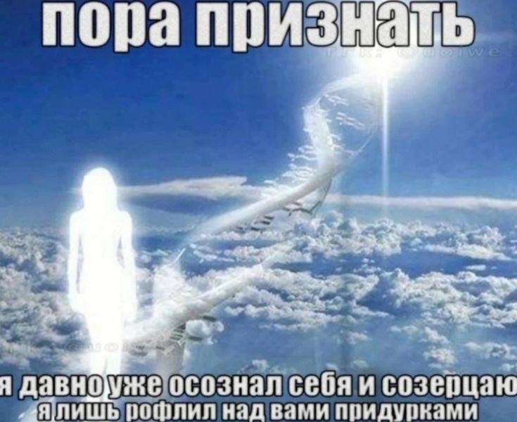 шерсть (@pionersherst) on Twitter photo 