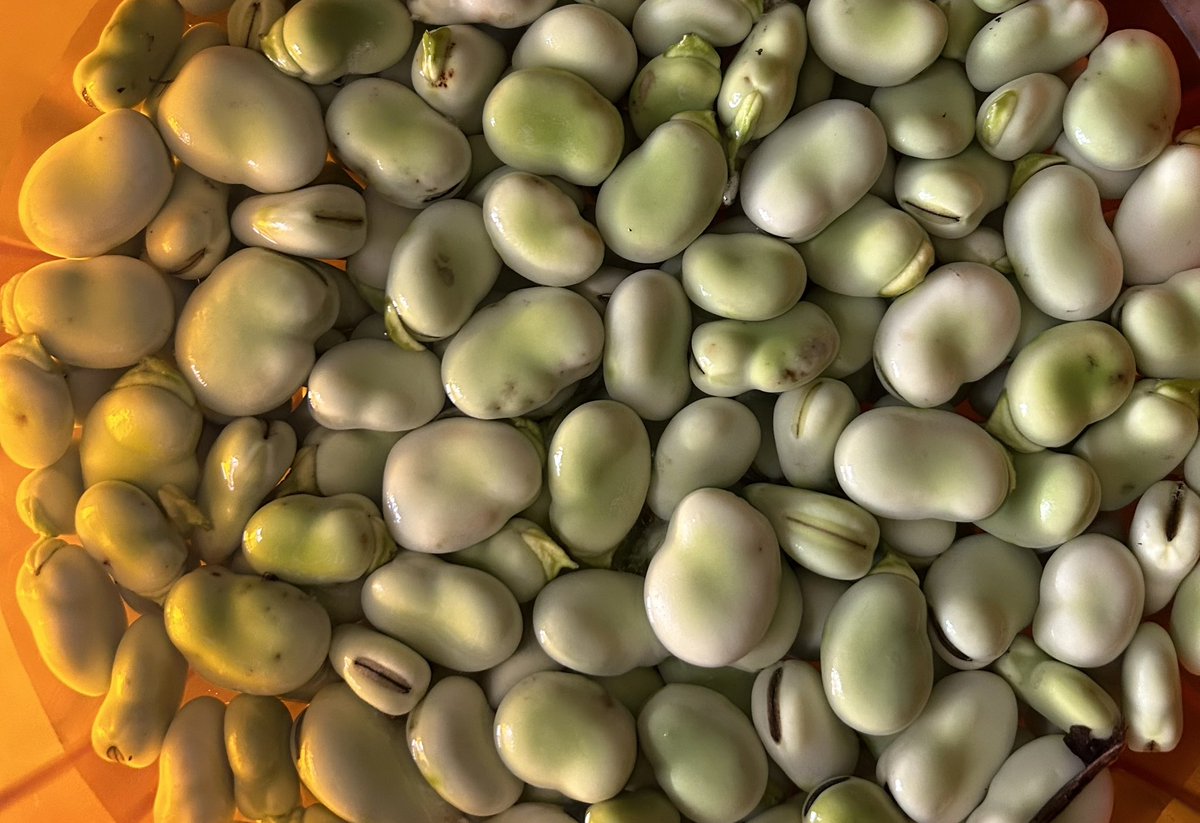 ammollo ma non mollo con la #favemania buona domenica <a href="/inpantofole/">Franci</a>