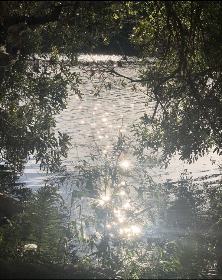 elemmiressoul's tweet photo. sunshine on water. https://t.co/VWgAH1AY8g