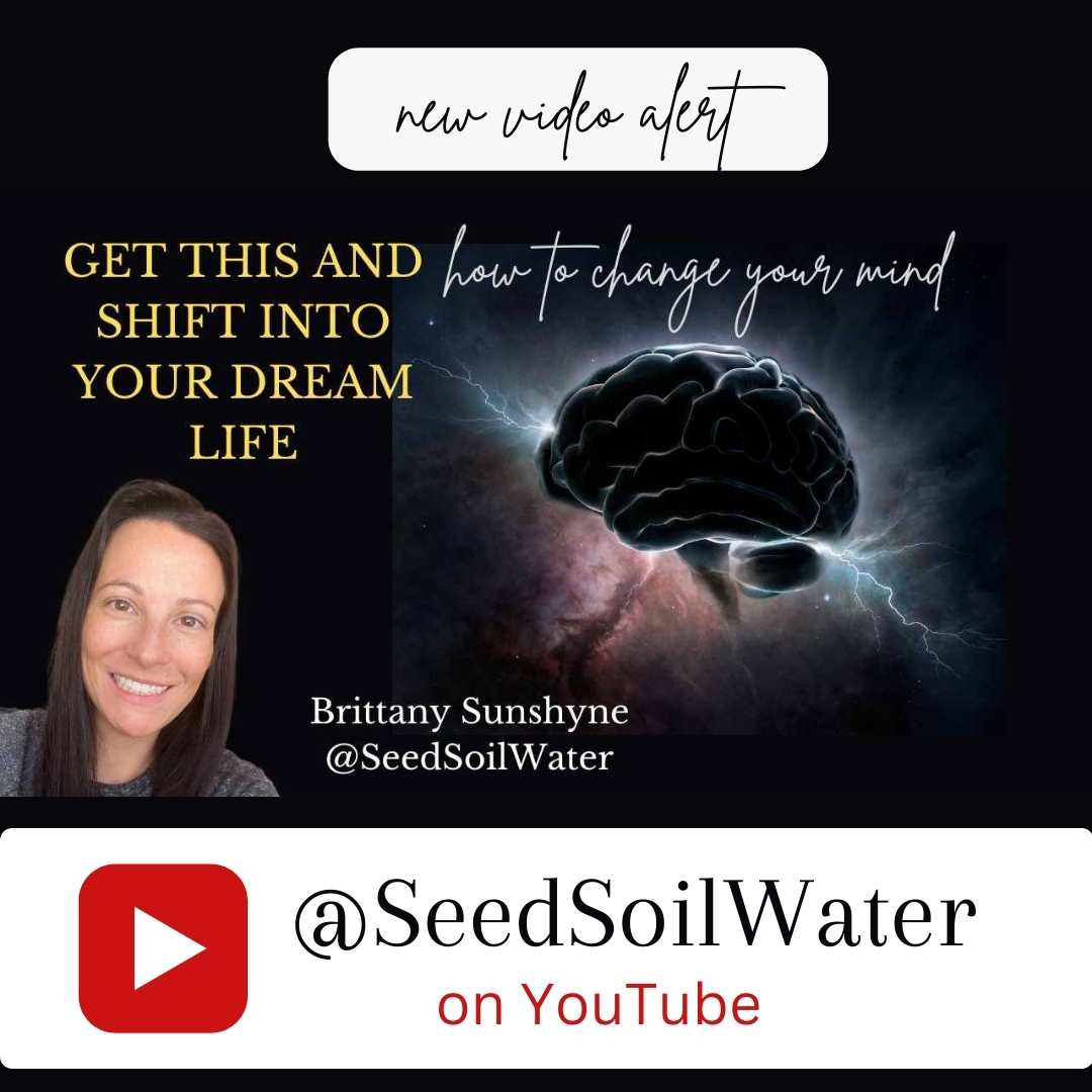 Seed_Soil_Water's tweet image. Discover the power of reprogramming your subconscious mind and creating new patterns of thinking and feeling. Join me on this journey of self-creation! #bossbabe #shift #realitycreator #RealityCreation #RealityTransurfing