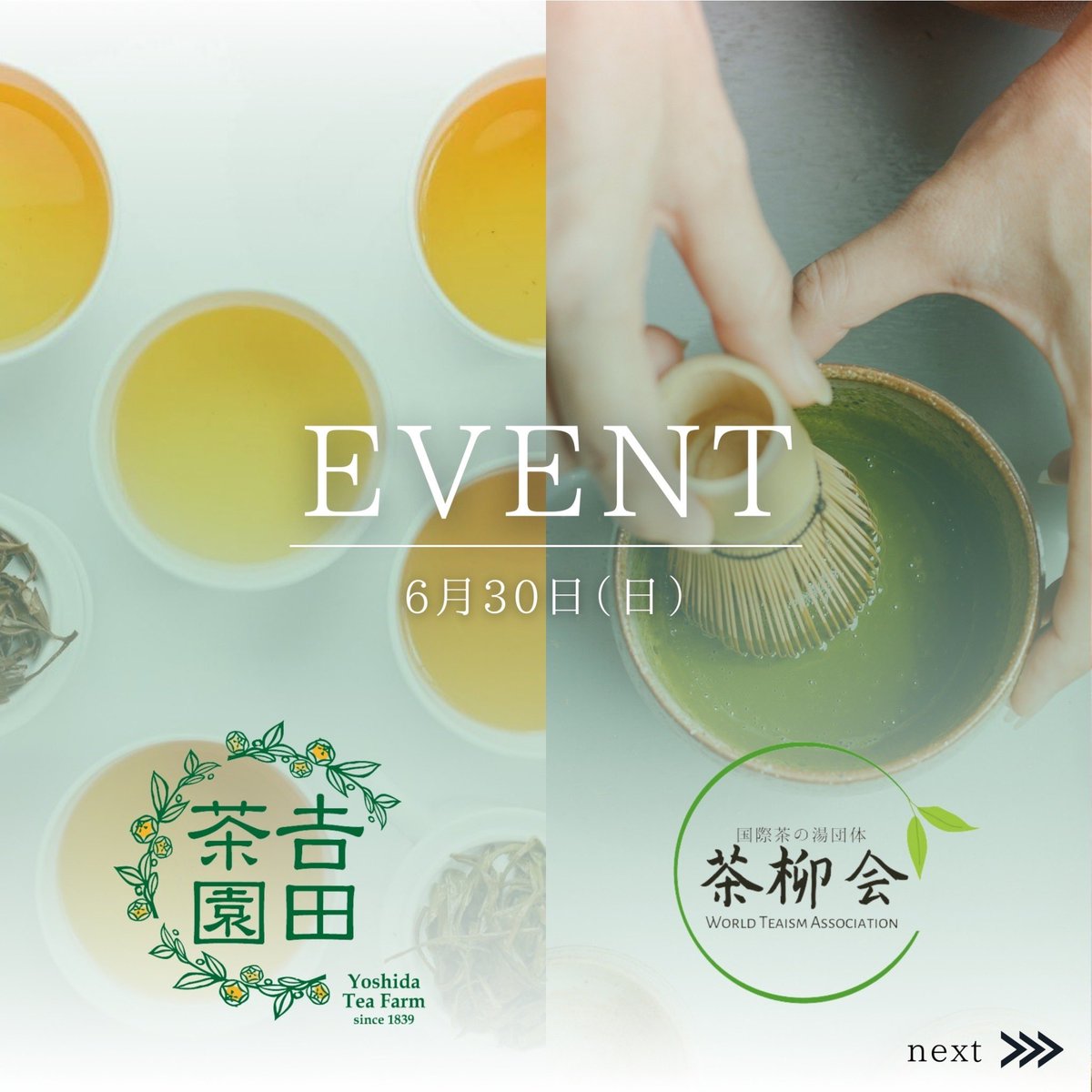 吉田茶園 -さしま茶- tweet media