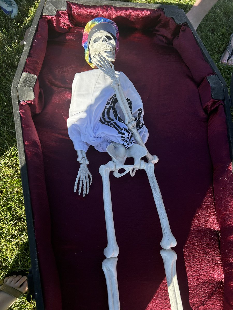 savingfordeath's tweet photo. Bone-jour from Regionals Day 2! Hector is chilling in style in his new home. #trinkettime https://t.co/se2YUEx7X3