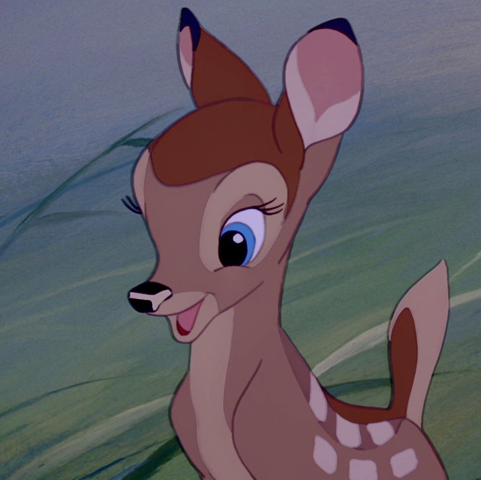 mmengb's tweet photo. น้องแบมบี้  🦌  🪹  🍃 https://t.co/jmh9FtlzGo