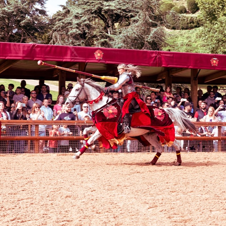 Familydaysout's tweet image. 🏰 History comes alive when you visit local historical sites. Tip: Look for interactive tours or reenactments for an immersive experience! #FamilyAdventures #HistoryForKids #LearningIsFun