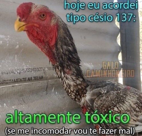 shitpostverdade's tweet photo. https://t.co/NrsdILpYB0