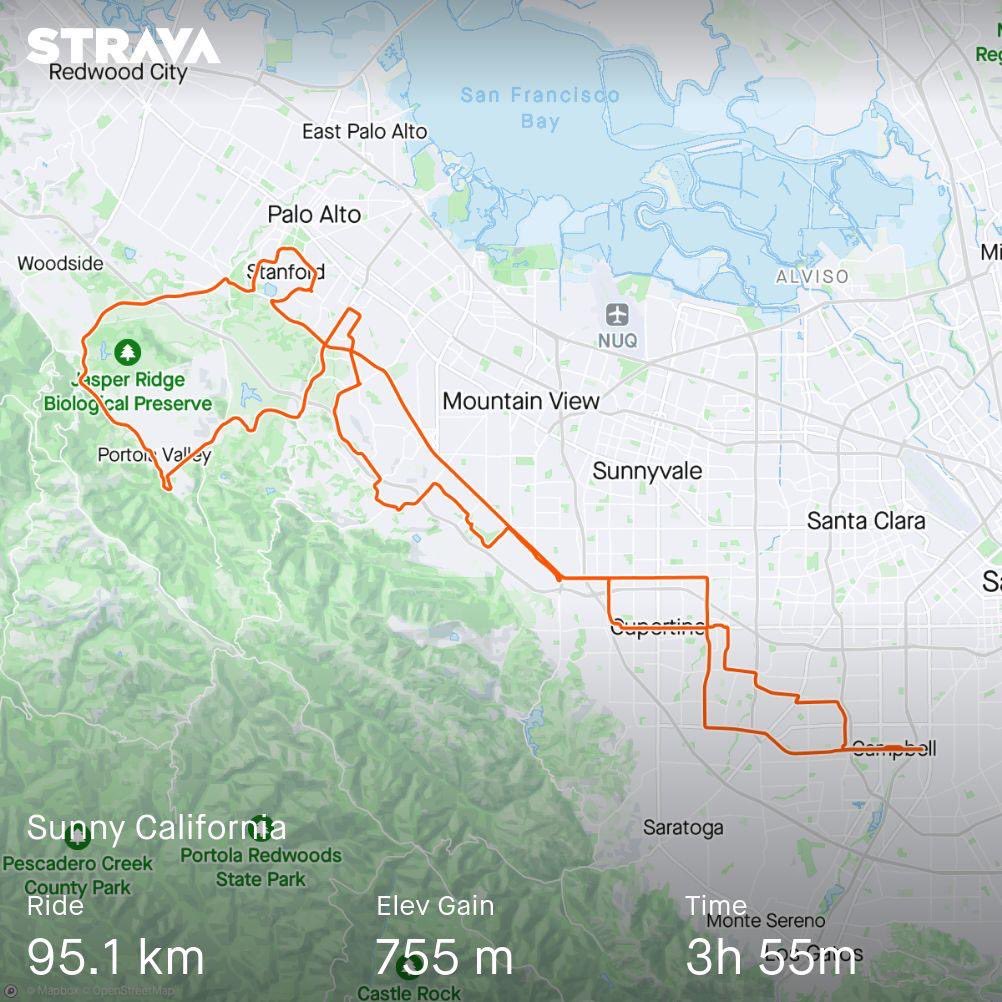 Klemens 🦆 Art of Fauna tweet media