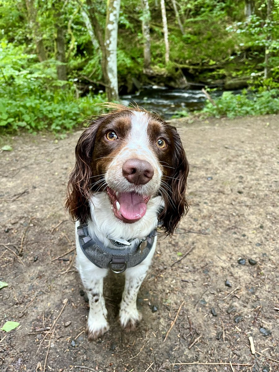 Toby Harding #WetTobes OTRB 🌈 tweet media