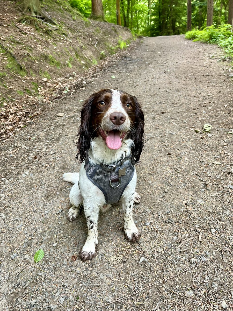 Toby Harding #WetTobes OTRB 🌈 tweet media