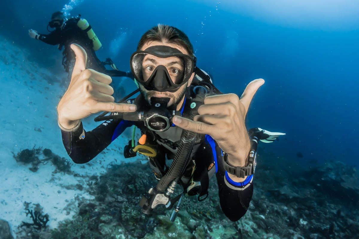 TheScubaNews's tweet image. From the ancient waters of Egypt’s Red Sea to the pristine atolls of the Maldives, the biodiverse reefs of Indonesia, and beyond, these #liveaboard offers cater to every diver’s dream

⛴ 🤿 👉   buff.ly/4bOneSD