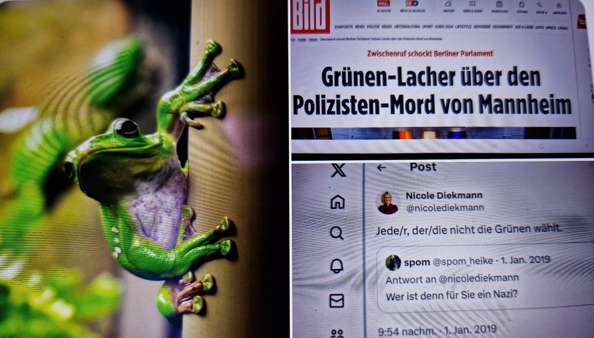 9Incide's tweet photo. @MarionHoch1 @HendrikWuest @GrueneBundestag #FettesKeuzbeiAfD #Europawahl_2024 
Stoppt Päderasten Pädophile Sadomasochisten korrupte Politiker kriminelle Maskendealer Deutsche Oligarchen und Stasi Folter Mauerschützen und Denunziantentum
Bin #RepRefugee Sie Wüstling https://t.co/LfR6QU2h4e