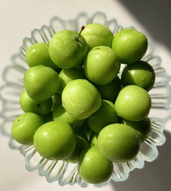 نحن نسميه نبج انتو شو تسمونه؟؟