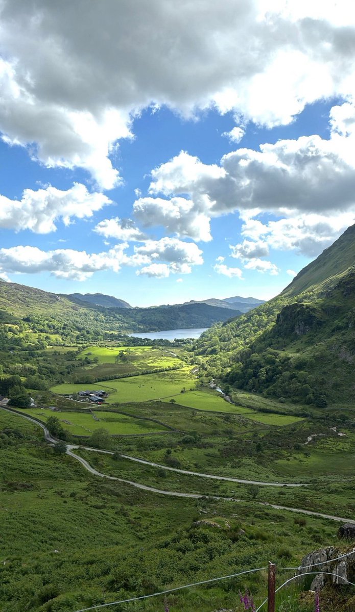 Alex Grove tweet media