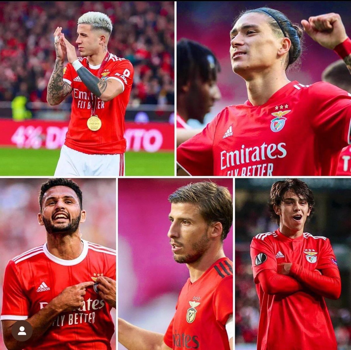 BENFIQUISTÃO 🇵🇪 tweet media