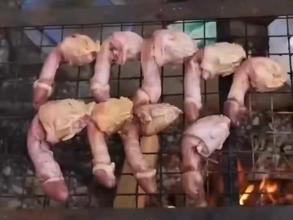 我今年還沒有吃到肉粽！ 
明天誰可以帶我去吃一下，或介紹哪一家最好吃😋？ https://t.co/KiKyDZmX8Q