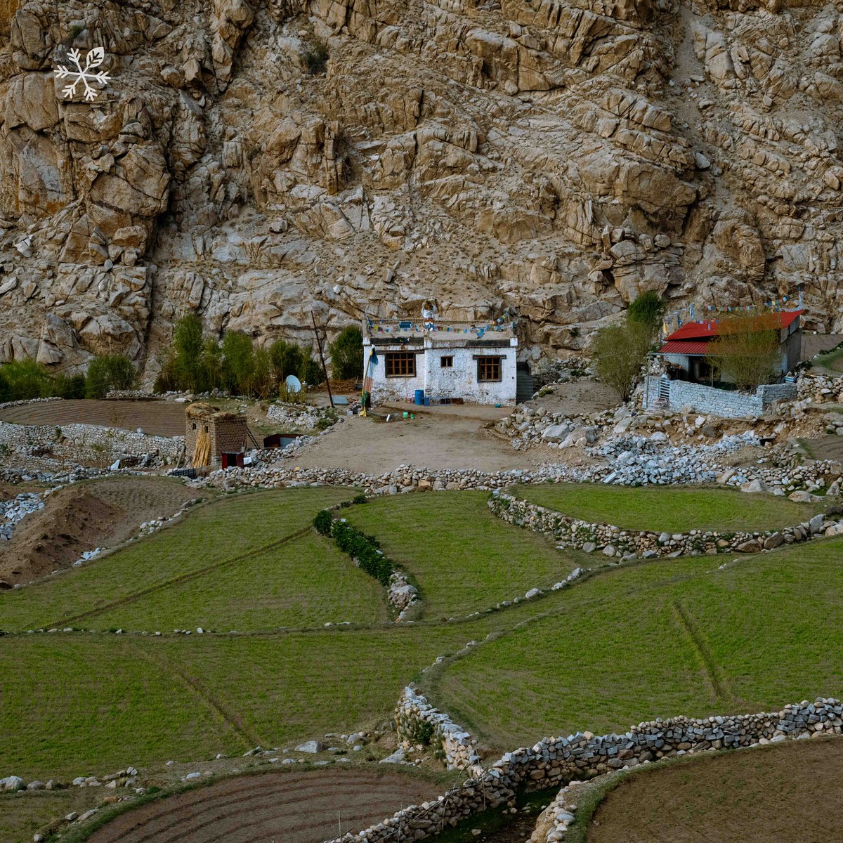AcresofIce's tweet photo. While the rest of India is experiencing a heatwave, life in Igoo is flourishing. In May, our weather station recorded an avg temp of 6.5°C (max: 10.3°C &amp; min: -1.1°C), and farming is in full swing. The village is benefitting from the AIR &amp; the fields are already looking greener! https://t.co/gTYu19RzFo