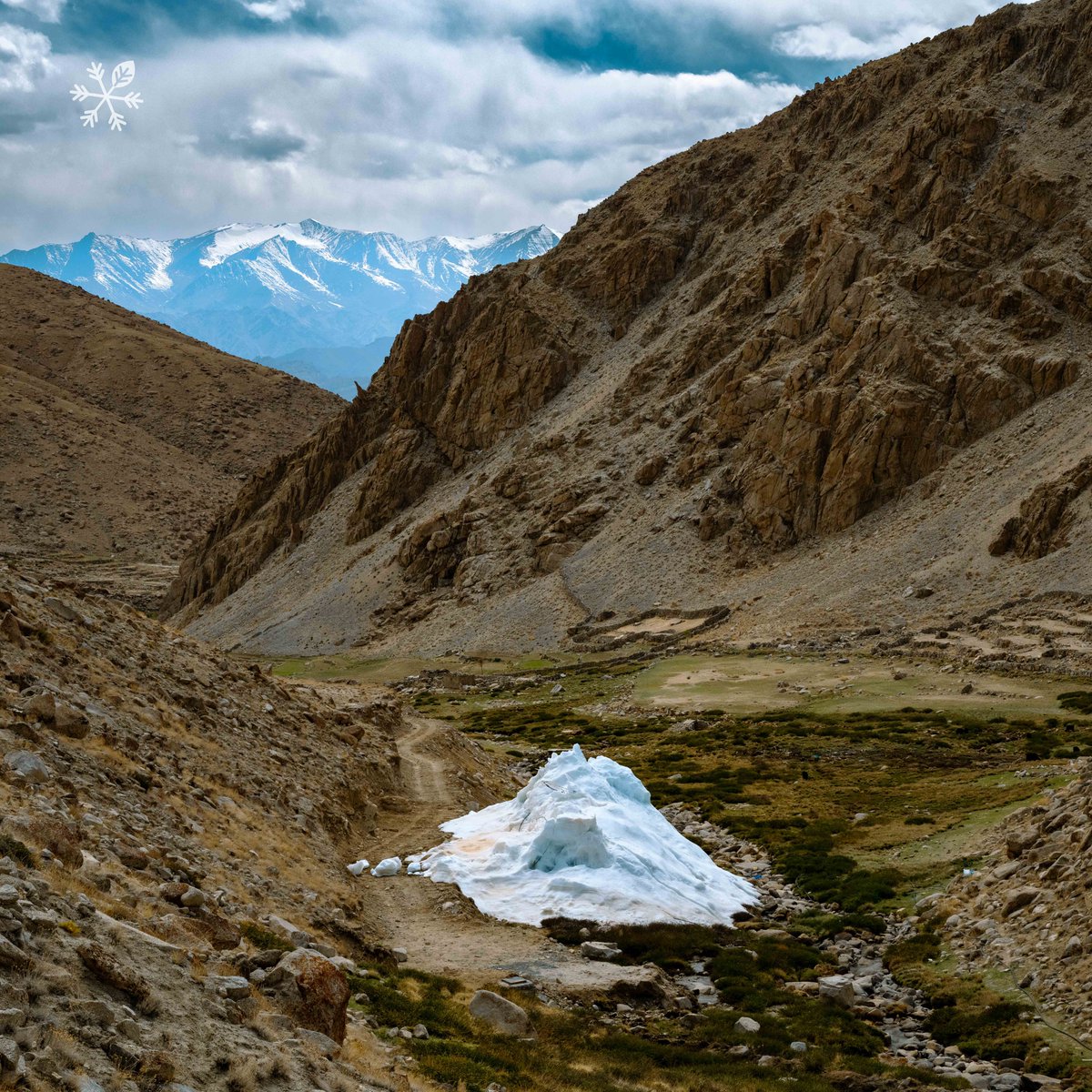 While the rest of India is experiencing a heatwave, life in Igoo is flourishing. In May, our weather station recorded an avg temp of 6.5°C (max: 10.3°C &amp; min: -1.1°C), and farming is in full swing. The village is benefitting from the AIR &amp; the fields are already looking greener!