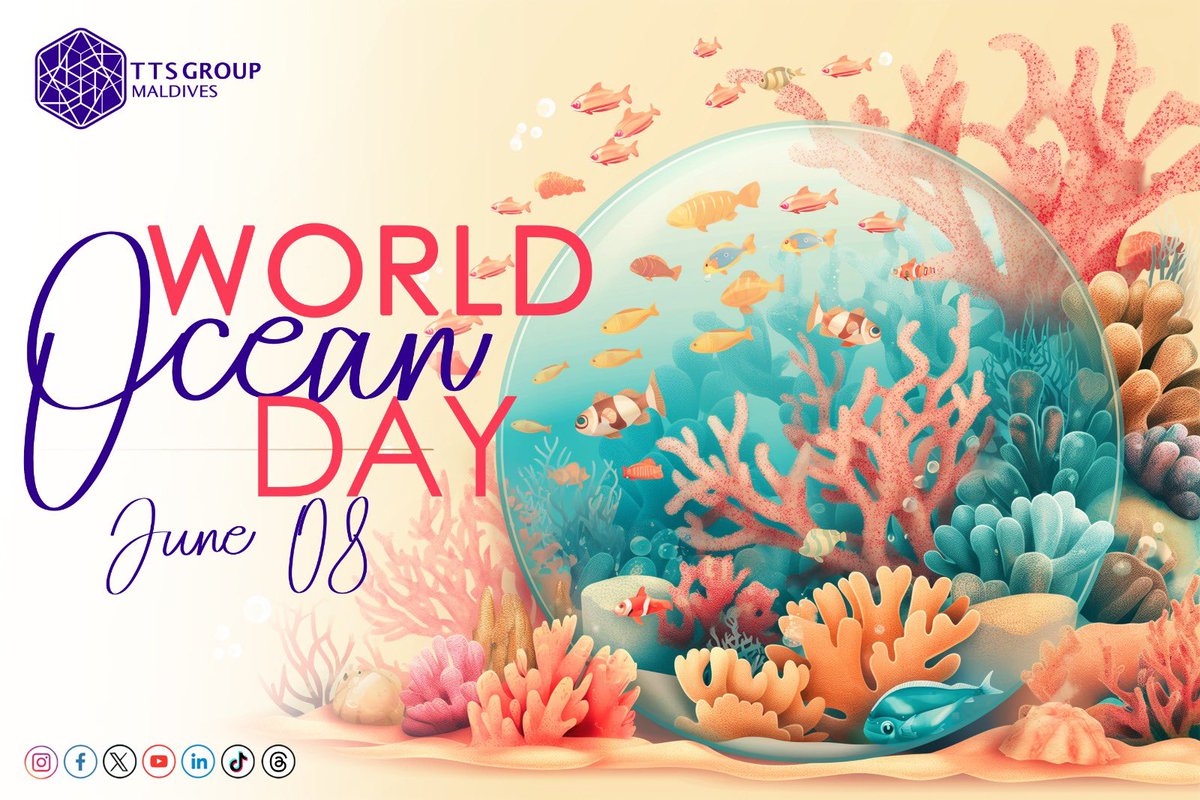 TTSGRPMALDIVES's tweet photo. World Ocean Day! #TTSGMaldives #Logistics #Shipping #Travel #Liner https://t.co/OrWB2FmpEQ