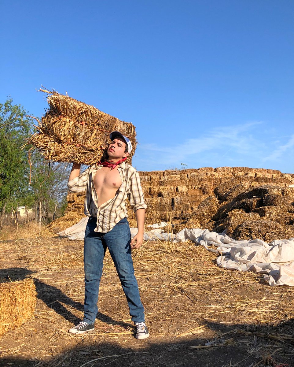 ArtCatq's tweet photo. Como me ven en el trabajo🧑🏻‍🌾🌾 / como me ven en X (twitter)😈🥵 https://t.co/kN948CrIYu