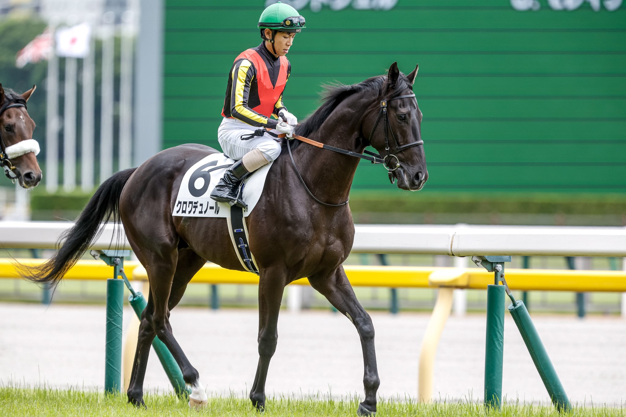 ムコ商品　クロワデュノール　メイクデビュー（新馬戦）　現地的中応援馬券 netkeiba on X: 