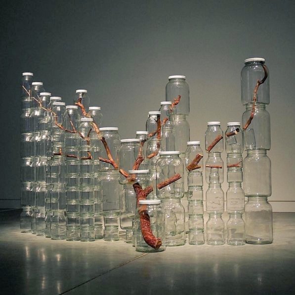 Glass Jar Tree, 2009 
from the "Urban Nature" series 
by artist Naoko Ito #WomensArt