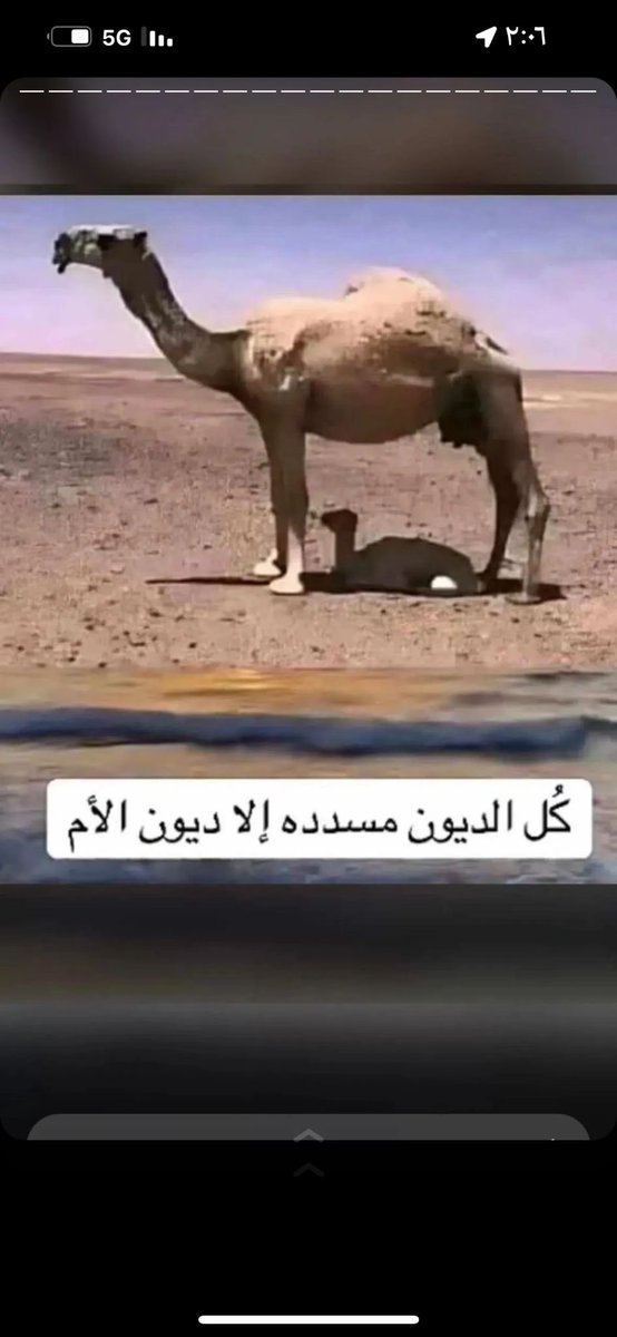 🇰🇼Hadi Alajmi (@hadi196235) on Twitter photo 