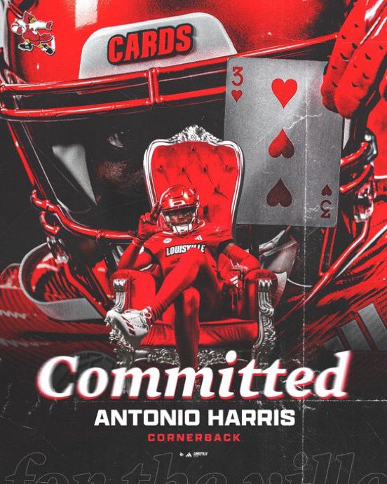 Connor Stanley tweet media