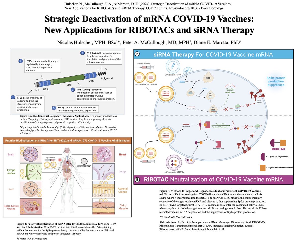 McCulloughFund's tweet image. We have developed the first scientifically-backed proposal to deactivate COVID-19 mRNA injections in the human body.

Government agencies and large research organizations have failed to produce any advances in treating COVID-19 injection injury syndromes, which are likely…