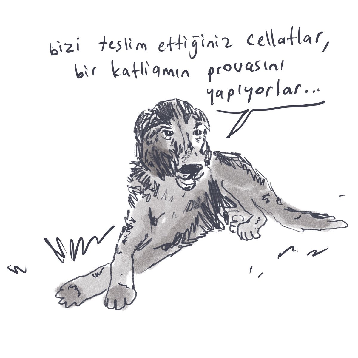 aslialpar's tweet photo. Bizi teslim ettiğiniz cellatlar bir katliamın provasını yapıyorlar…

Urfa’dan sokak köpeklerini toplayıp kafasını keserek öldürenlerin videoları geliyor. En çok üzüldüğüm de bu ‘agresif’ olduğu söylenen hayvanların boğazını sıkan adama sadece merhamet dileyerek bakması oldu. https://t.co/lbfw3B3lpg