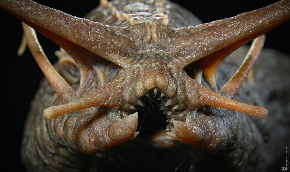 🎨 Toolbag Artist Highlight - Limax Magnodentis by <a href="/Voilola/">Roberto Digiglio</a>

Find more of Marko’s work on Artstation: artstation.com/voilola

👉 Tag your art with #madewithMarmoset for a chance to be featured.

Bake, texture, and render your art in Toolbag: marmoset.co