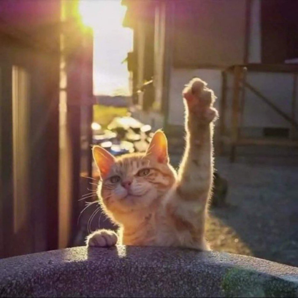 またな