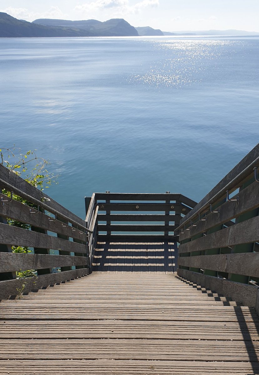 TetZoo's tweet image. Absolutely spectacular day here at #LymeRegis #FossilFestival. Started my day by looking at warblers along the coast, but am currently in talks...
