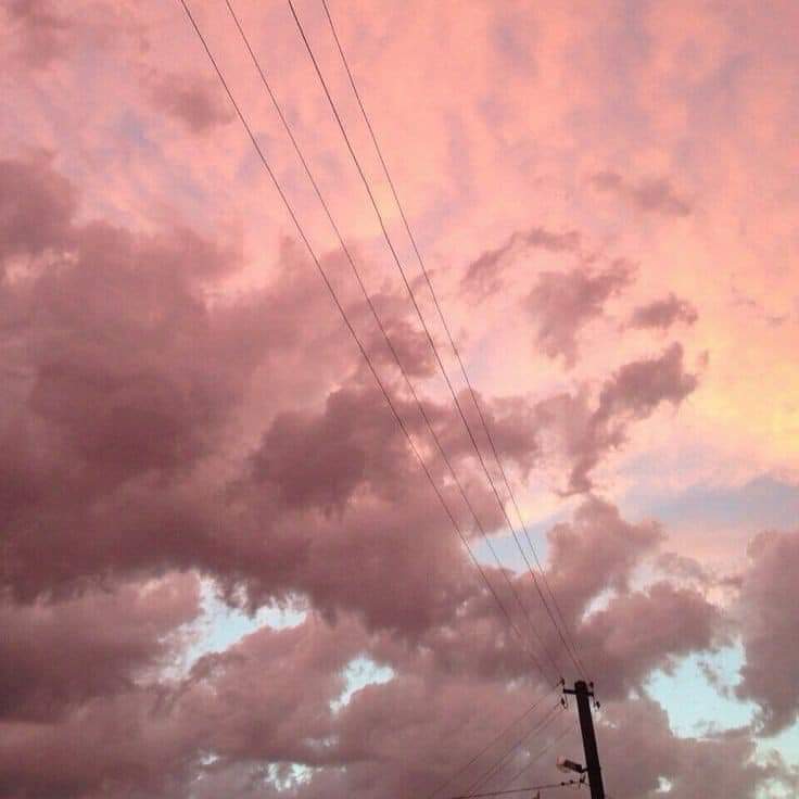 Engr_M_Ibrahim's tweet photo. Pink 🩷

What's your Favorite color? https://t.co/Nq8auP5rvU