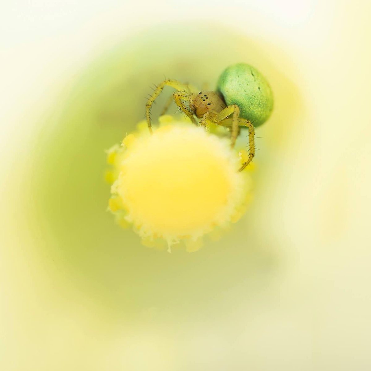 Matt Doogue tweet media