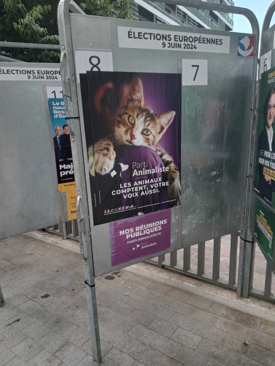 Pagechris75's tweet photo. Salut la famille 🥰

Aujourd'hui, j'ai voté pour un chat parce qu'un chat c'est moins con qu'un mec de gauche et de droite réunit... y a pas photo...

@PartiAnimaliste https://t.co/cO47JTb6QC