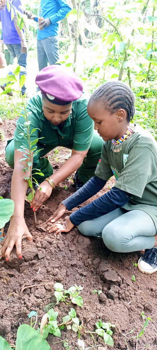 Being an important day in our country, we took part in the Nandi County wide tree planting exercise with the aim of planting environmentalists #ecogreenlifeglobll We also secure the future for our children's #green #wangarimaathai #adopta #treenit #party #environmental
