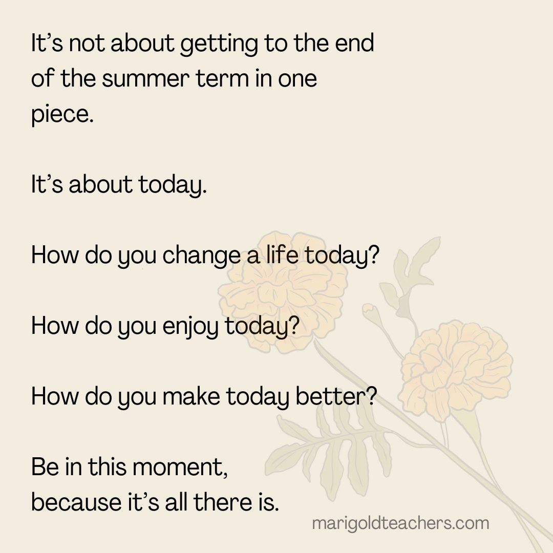 Marigold Teachers tweet media