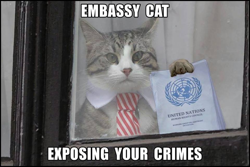 SnowdogChampion's tweet photo. Another like of my tweet @jack @X @elonmusk from NOT investigative journalist or police that would arrest #Obama🔒 for #ObamaBodyCount
but 'just a hot🔞 girl'😻
thanks god she took @TIME cause #Assange has little time left👇🔞 https://t.co/RhFK0pf7Sb https://t.co/qTIsEpF2dg