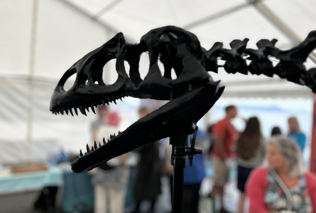 DarrellWakelam's tweet image. For the first time in 19 years I wasn&apos;t working at the Lyme Regis #FossilFestival this weekend, so I actually got to look around it for once! 😂🤩 
Amazing displays and exhibits, lots of science and art . . . and I had to buy a print from fabulous illustrator @EmilyHiggsArt 😮