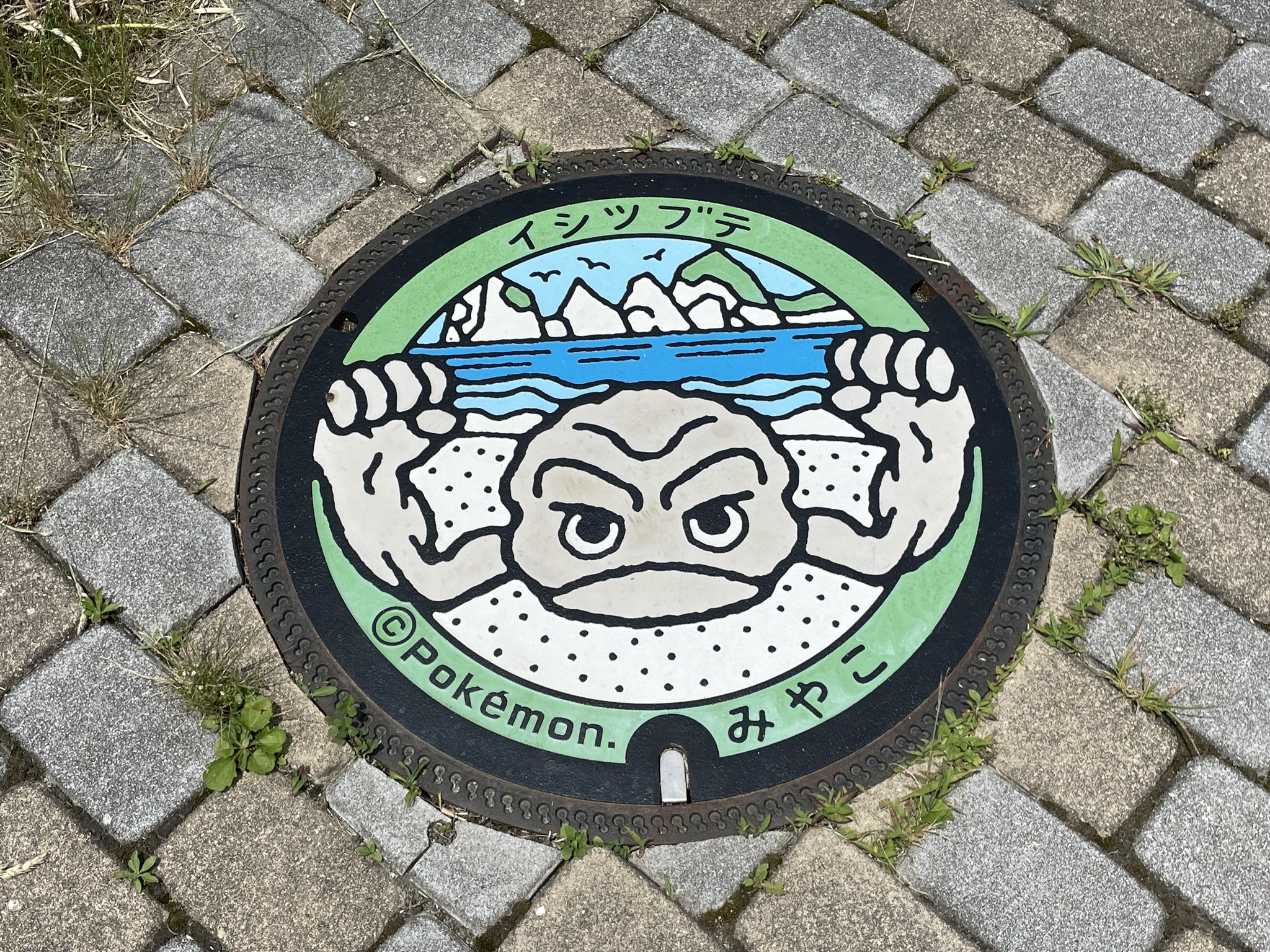 ポケモンだいすきクラブ編集部【公式】 on X: 