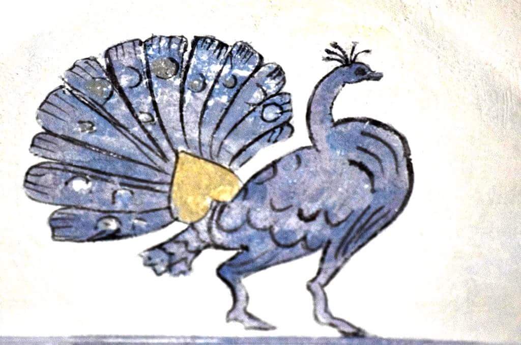 #lacasacheparla #CoesistereMW
Ma poteva forse finire questa #museumweek senza una comparsata del mio #pavonetacchinato? Possono coesistere realtà e fantasia al museo? #villabernasconi #creaturefantastiche <a href="/MuseumWeek/">ᴍᴜsᴇᴜᴍᴡᴇᴇᴋ 🏛</a>