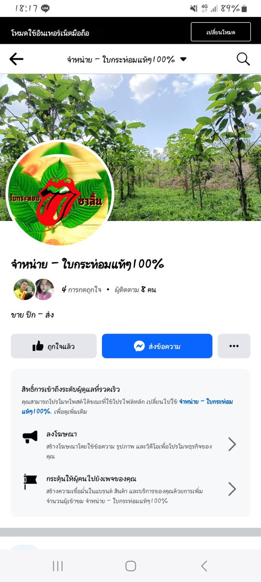 MaxMax91856747's tweet photo. #ใบกระท่อม

🍃ใบสด พร้อมส่งครับ 🍃
 ……………………………………………
เก็บสดๆ จากต้น ใบสวย 
สั่ง 10โล แถม 1โล 
📌เครมได้ ใบเหี่ยว ใบไม่สวย 
🛵ส่งฟรีใน เมืองขอนแก่น หรือไกล้เคียง ขึ้นอยู่กับระยะทาง 
สนใจทักได้ครับ 
📞 0962107194
Line : stonmam11 https://t.co/R4heY9CPgM