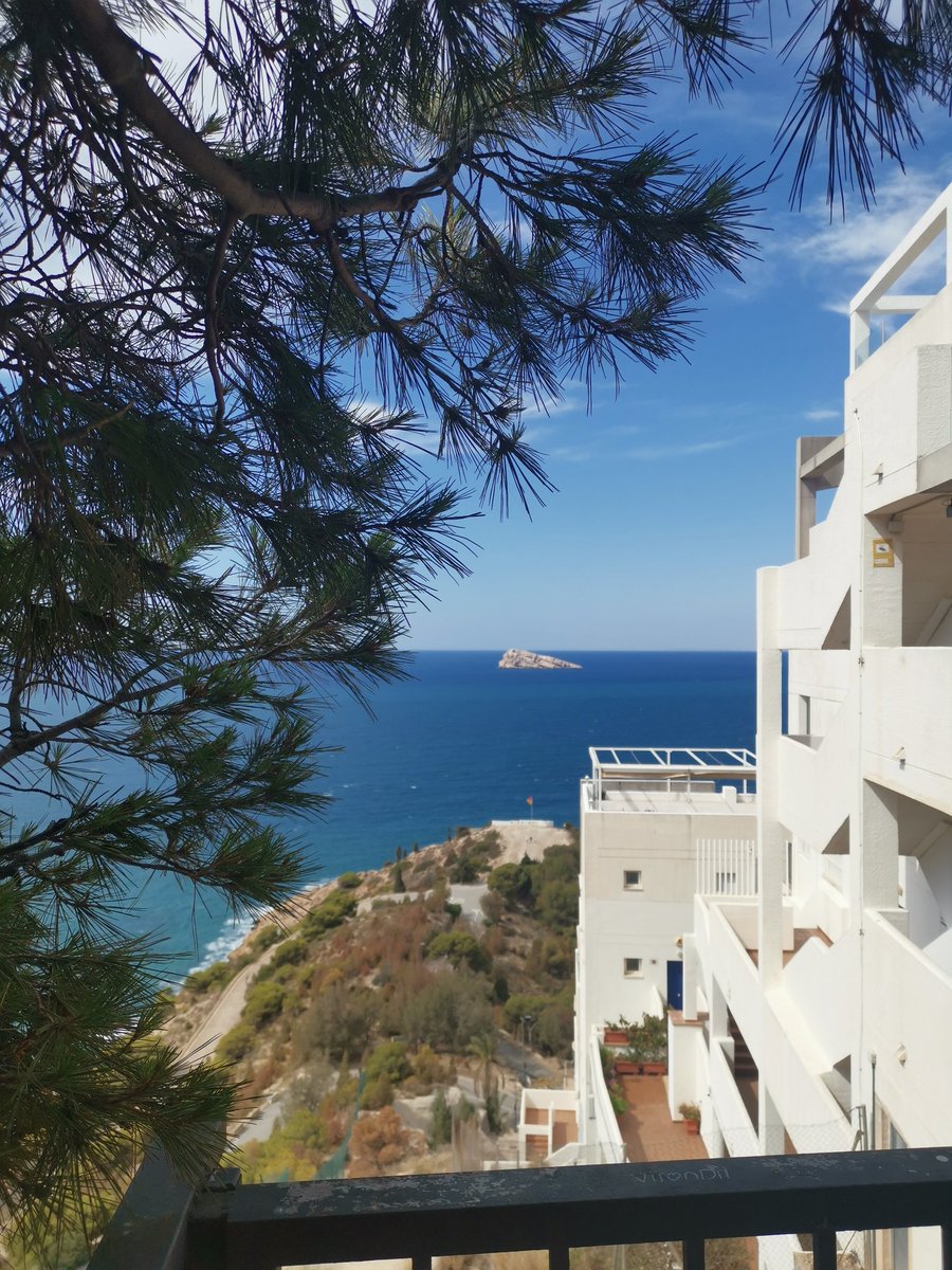 debs65000's tweet image. Little hike this morning to la Cruz ☺️